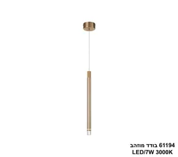 61194 בודד מוזהב