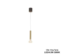 מיאל בודד תלוי