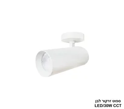 ספוט זרקור 30W לבן