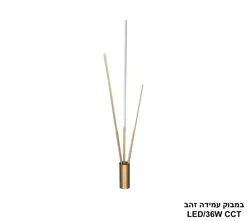 במבוק עמידה זהב